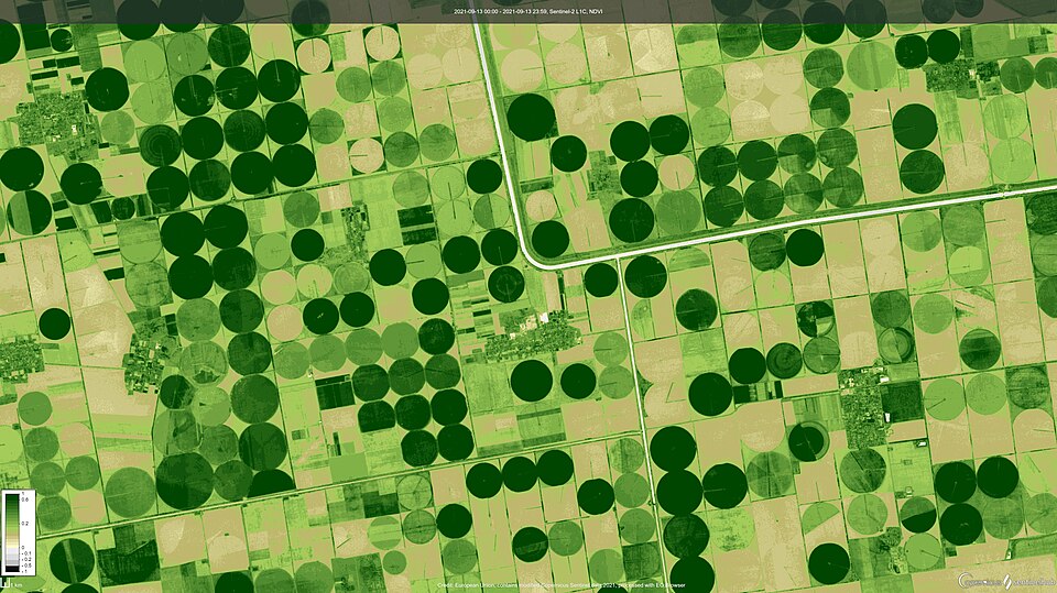 AI debate section over agricultural imagery
